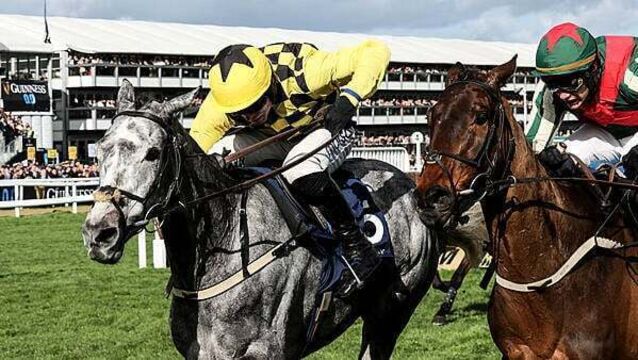 Cheltenham Day Two live: King Rascro Grey wins opening race of the day