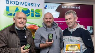 <p>John Lynch, Clifford Reid and Cyril Cuddy at Portlaoise Library for the first meeting of the Laois Bat Conservation Group </p>