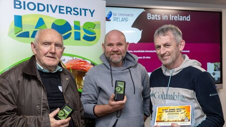 Laois Bat group ready to spread its wings