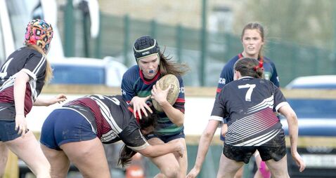 Battling Scoil Chríost Rí are out-muscled by Ardscoil Trínóide in Leinster semi-final