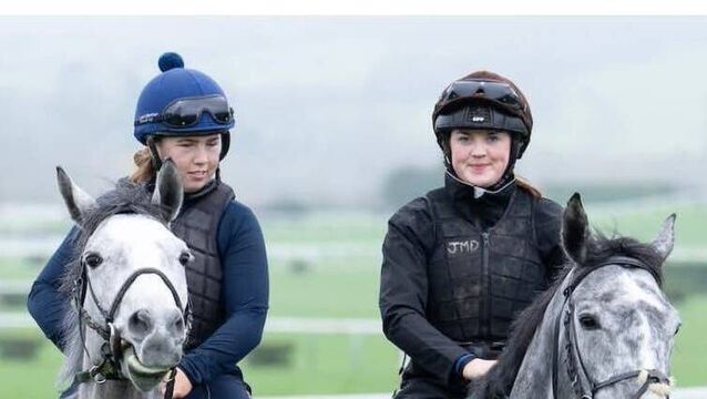 Laois natives shine while working for Willie Mullins at Cheltenham