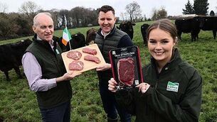 Fota Wildlife Park reopening date set after avian flu closure
