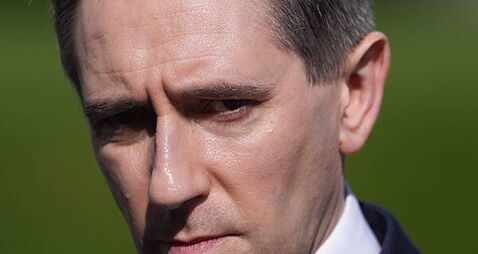 Digital wallet ‘next step’ for social media age verification, Tánaiste says