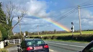 Pot of gold seized by Laois gardaí!