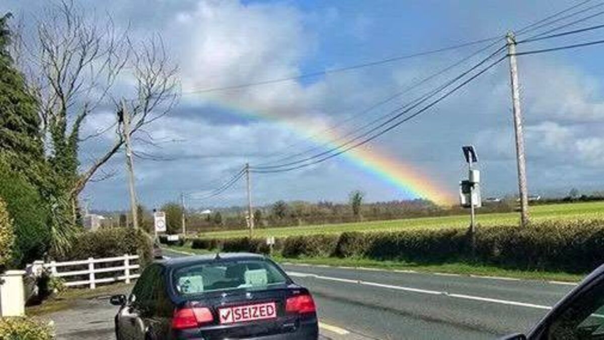 Pot of gold seized by Laois gardaí!