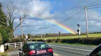 Pot of gold seized by Laois gardaí!