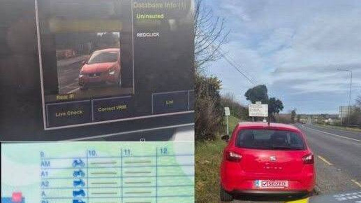 Ice Bucket Challenge driver caught in Laois 