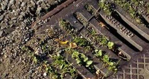 Concern over maintenance of gullies on Laois roadways