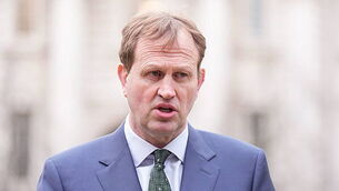 Endangered monkey born at Fota Wildlife Park