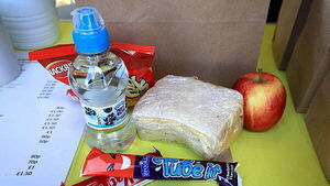 New hot school meals leading to excess food waste, survey claims