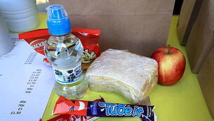 Donald Trump backs Micheál Martin to solve Ireland’s housing crisis