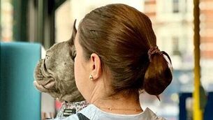 Garda found guilty of assault avoids jail and criminal record