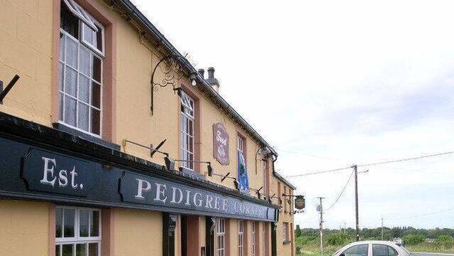 No pedigree on Gracefield road