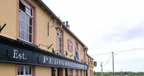 No pedigree on Gracefield road