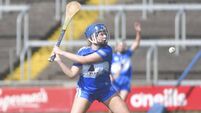 Laois conclude their league campaign with a victory over Westmeath