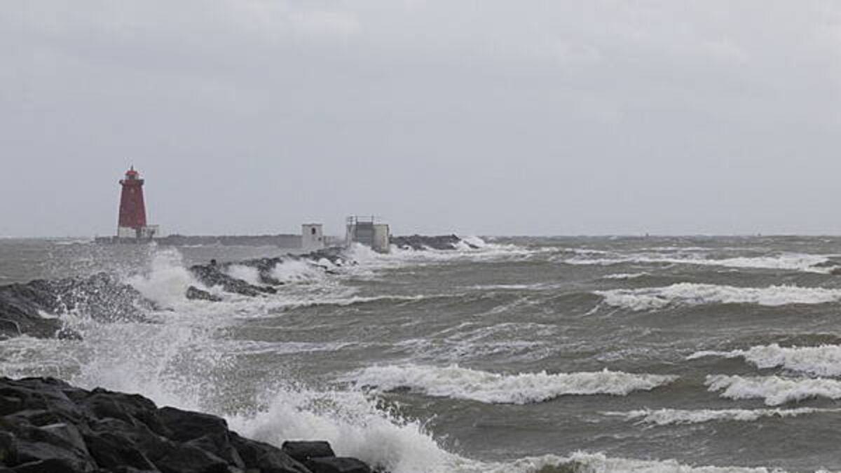 Yellow wind warning issued for five counties