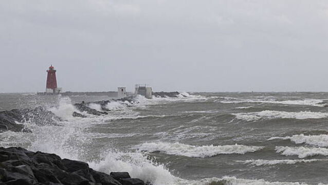 Yellow wind warning issued for five counties