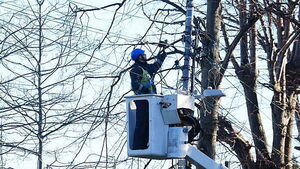 ESB profits down by 10% due to impact of Storm Éowyn