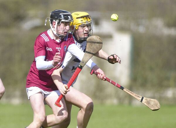 Liam Ellis (Heywood CS) and Lee Bredin (Mountrath CS) tussle it out for possession Photo: Denis Byrne Liam Ellis (Heywood CS) and Lee Bredin (Mountrath CS) tussle it out for possession Photo: Denis Byrne