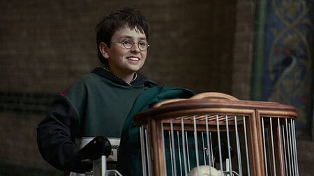 Seven questions the new Harry Potter trailer leaves unanswered