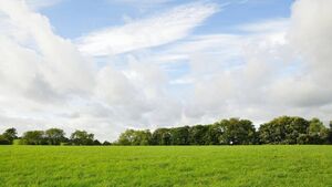 Laois father and son in dispute over land and house appear in court