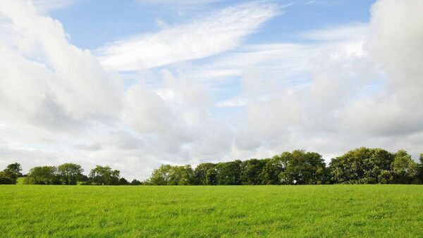 Laois father and son in dispute over land and house appear in court