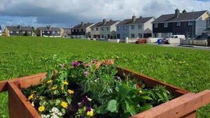 New Laois developments requested to use Irish placenames