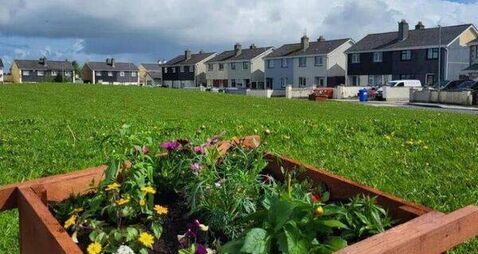 New Laois developments requested to use Irish placenames