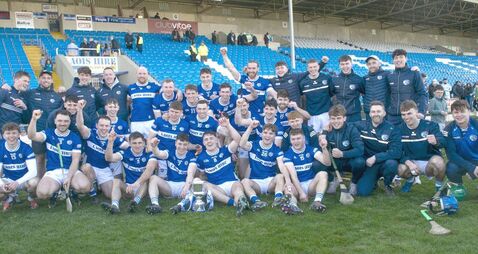 Laois could not have hoped for a better conclusion to their Division 2 league campaign