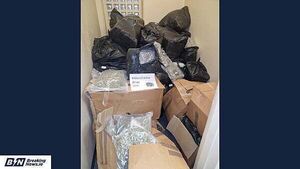 Three men and one woman arrested after cannabis worth €7m seized in Kildare