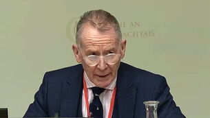 Irish reality TV star hailed a hero after Bondi Beach attack