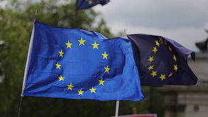 Plant-based diet ‘linked to better sexual health in men with prostate cancer’