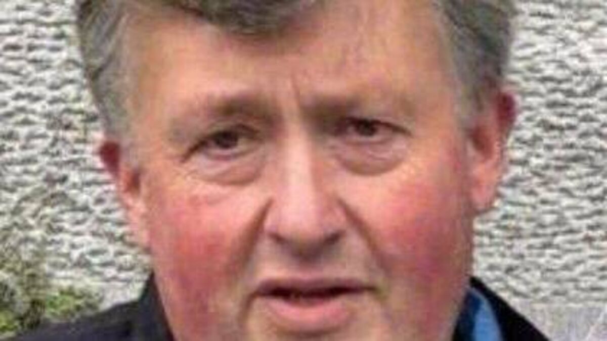 Laois Death Notice: Joseph (Joe) Moran, Ballinteskin, Stradbally