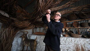 Nathan Kinsella and partner additionally charged with failing to furnish tax returns Nathan Kinsella and partner additionally charged with failing to furnish tax returns