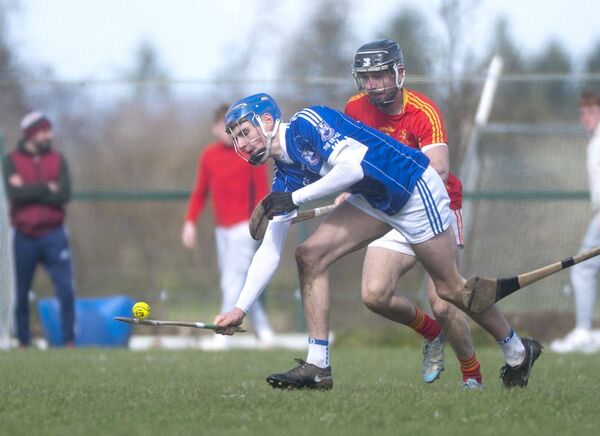 Tom Óg Phelan (Castletown) lifting this sliotar at Durrow on Sunday Photo: Denis Byrne