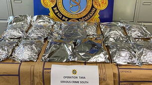 Renowned poet and writer Gabriel Rosenstock dies aged 76