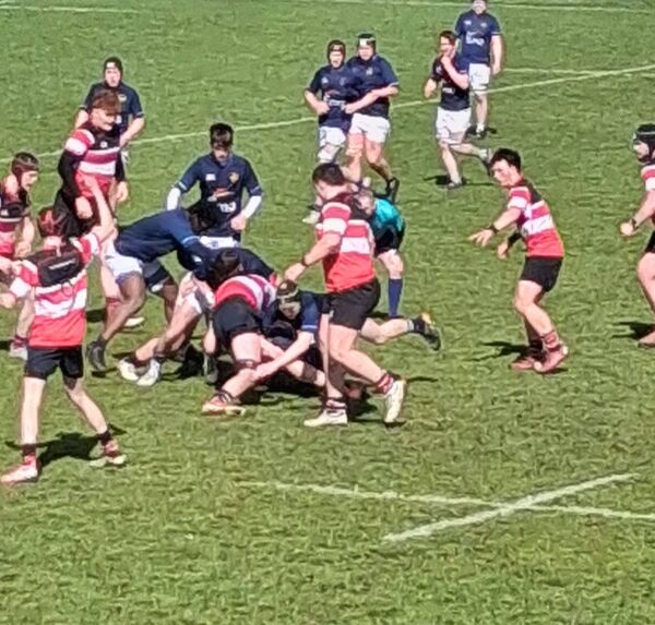 Portlaoise take control at the ruck against Wicklow Portlaoise take control at the ruck against Wicklow