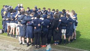 Portlaoise advance to the Tom Darcy Cup final, but not before being pushed all the way by Wicklow