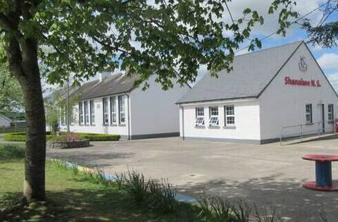 Laois primary schools host STEM Show and Tell Showcase i