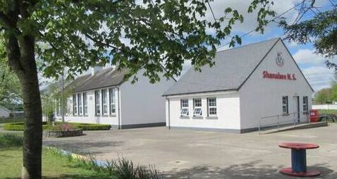 Laois primary schools host STEM Show and Tell Showcase i