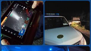 <p>Photo Courtesy Laois Civil Defence Facebook page </p> <p>Photo Courtesy Laois Civil Defence Facebook page </p>