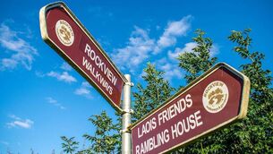 <p>Eddie Dooley of Laois Friends has been nominated alongside James Deegan of Carrigmeal Woods at the RDS Foundation Awards</p>