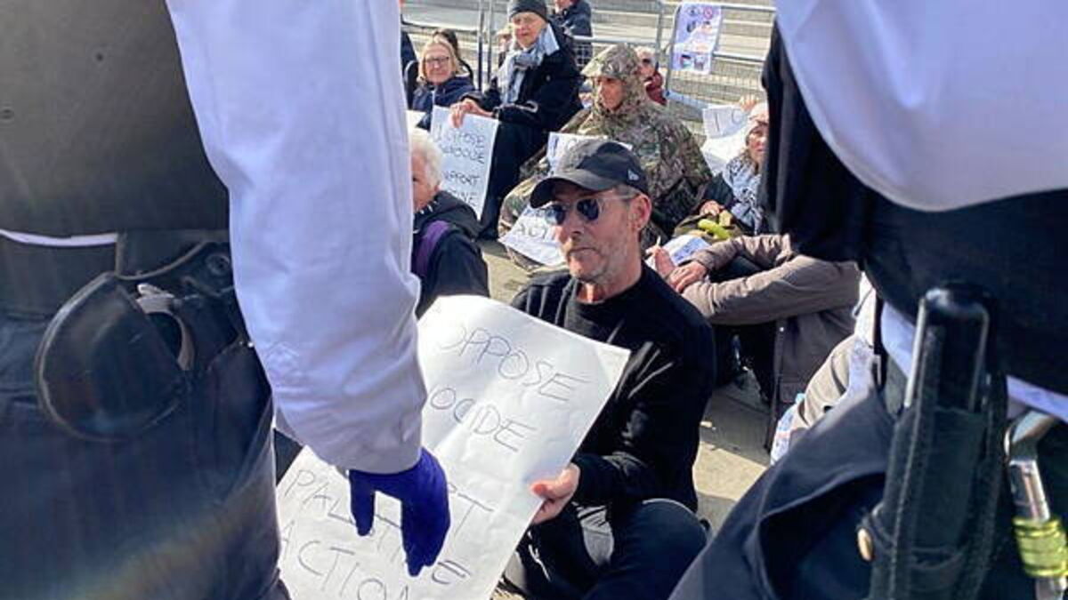 Massive Attack musician Robert Del Naja arrested at Palestine Action protest