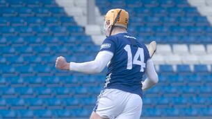 <p>Laois's LJ Cuddy turns away and celebrate after his goal against Antrim at Laois Hire O'Moore Park on Saturday 	 Photo: Denis Byrne</p>