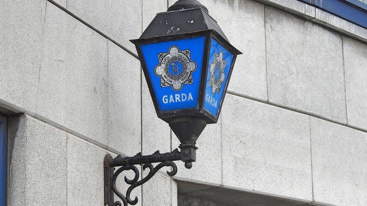 Laois man defaced garda car and holding cell at local garda station 