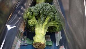 Opposition TDs label Jim O’Callaghan ‘Rambo’ after Defence Forces statement