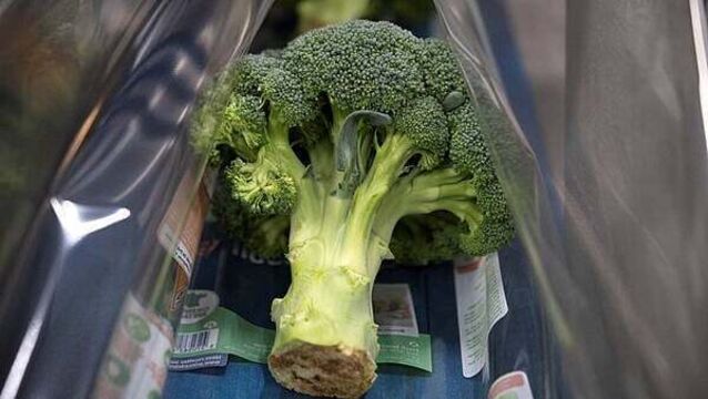 Country's largest broccoli producer and Kildare farmers oppose €168m solar farm