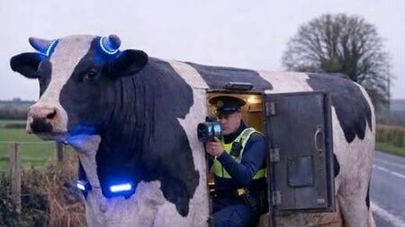 Laois gardaí Road Policing Unit are upping the 'steaks' 