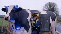Laois gardaí Road Policing Unit are upping the 'steaks' 