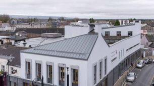 <p>Portlaoise Library </p>